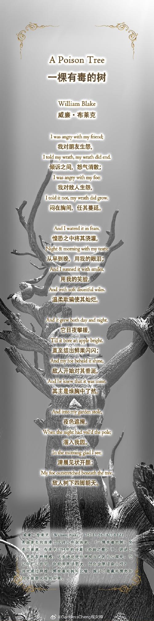 诗歌主义究竟指向何方？-图1