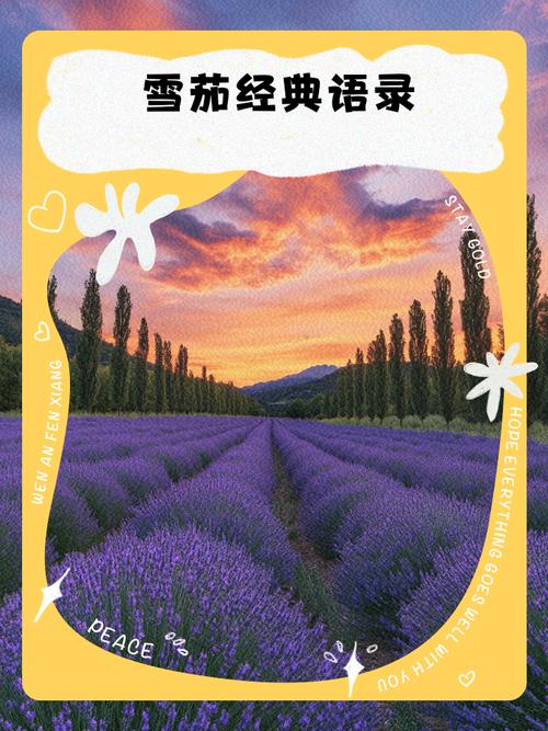 雪茄名言藏着怎样的生活智慧？-图2