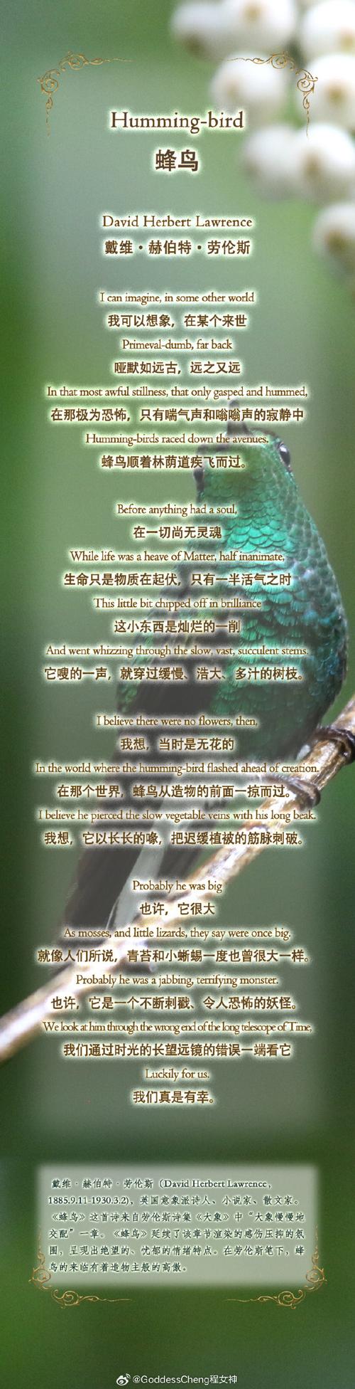 诗歌中劳伦斯的倾听之道是什么?-图1 诗歌中劳伦斯的倾听之道是什么?-图1