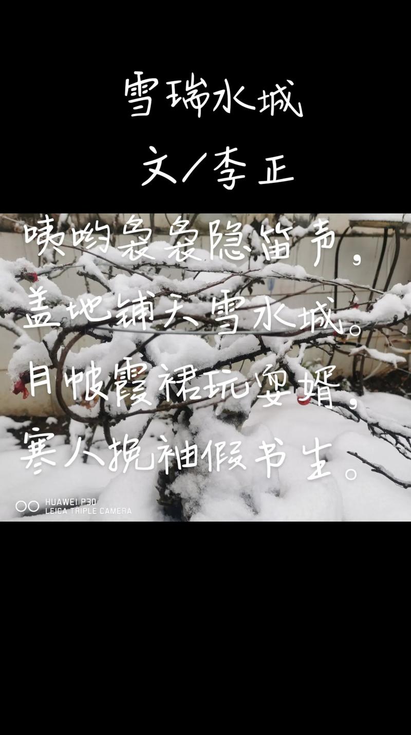 雪人为何在春天流泪？-图2