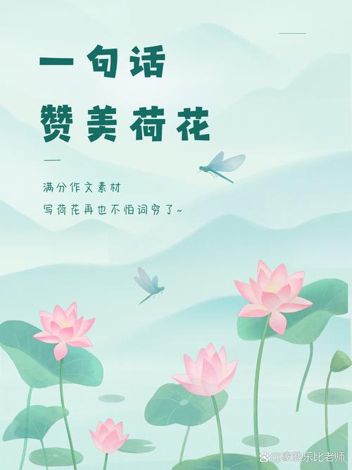 荷花有何传世名言？-图1