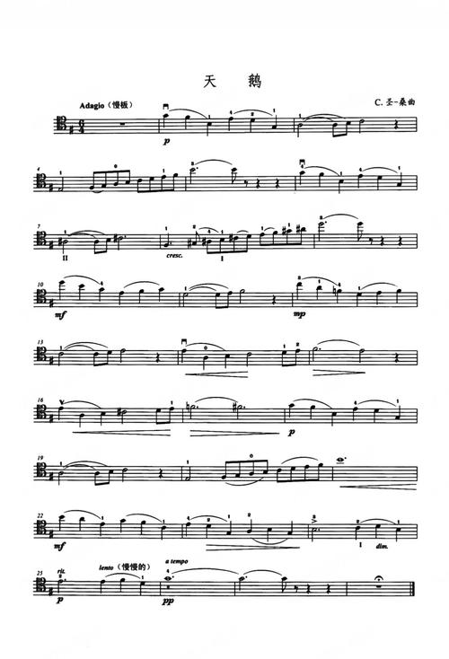 大提琴与诗,如何共鸣?-图3 大提琴与诗,如何共鸣?-图3