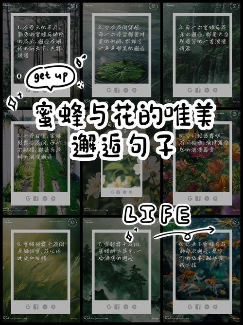 邂逅的名言，邂逅的名言名句-图3