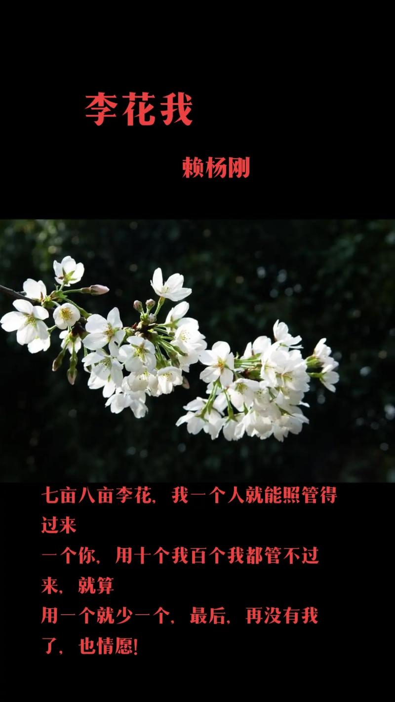 李花 诗歌，李花诗歌自创-图2