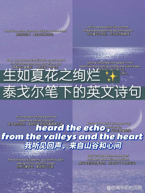 外国诗歌短，外国诗歌短句-图3