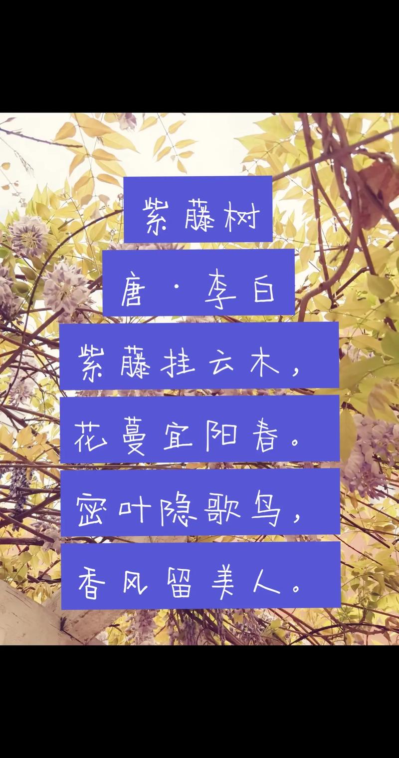 中国风的诗歌，中国风的诗歌有哪些-图3