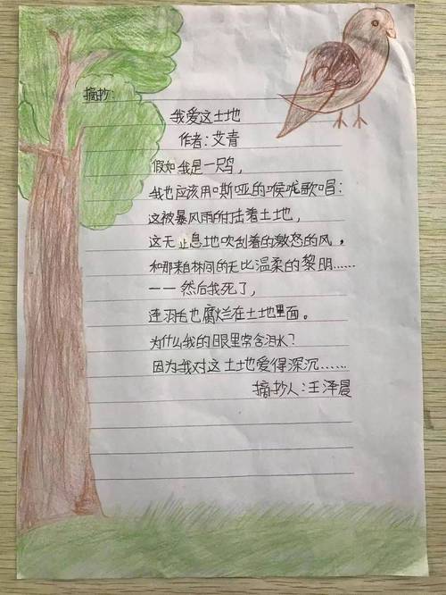 诗歌我的土地,我的土地现代诗-图2 诗歌我的土地,我的土地现代诗-图2