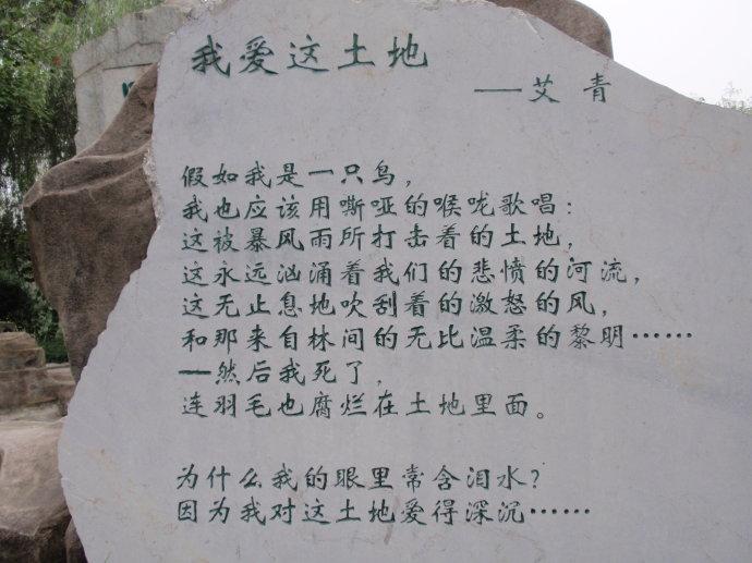 诗歌我的土地,我的土地现代诗-图3 诗歌我的土地,我的土地现代诗-图3