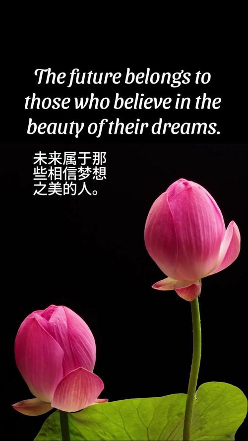 梦想的英语名言，梦想的英语名言名句-图1