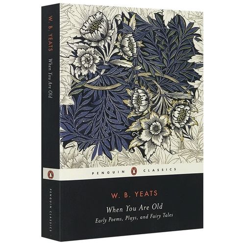 当你老了英文诗歌,当你老了英文诗歌原文-图2 当你老了英文诗歌,当你老了英文诗歌原文-图2