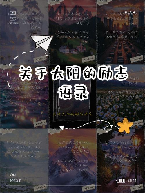 阳的名言,关于太阳的名言-图2 阳的名言,关于太阳的名言-图2