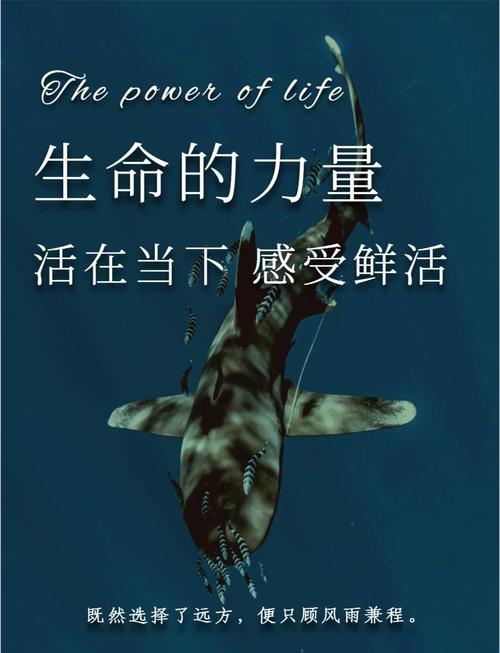 写热爱生命的名言警句，写热爱生命的名言警句有哪些-图2