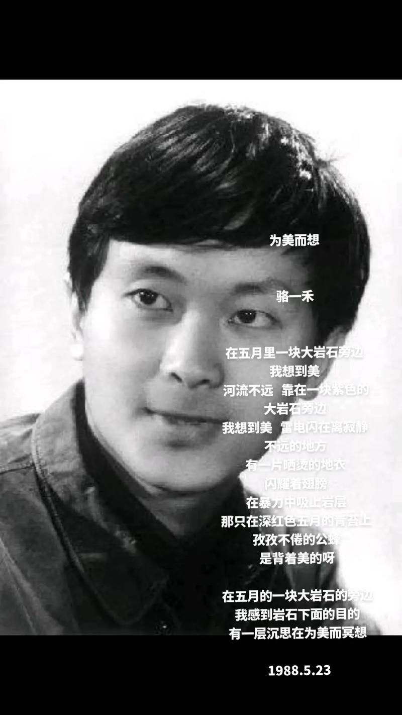 第三代诗歌代表作，第三代诗歌代表作品-图2