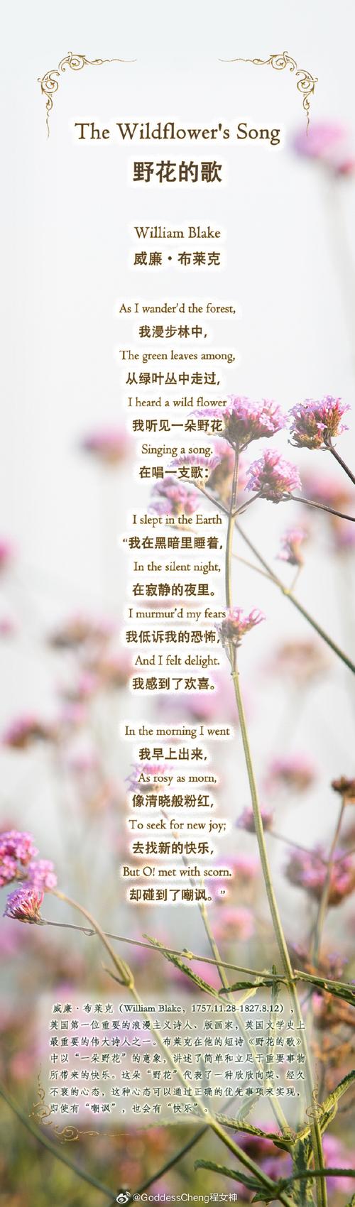 现代外国诗歌，现代外国诗歌短篇-图3