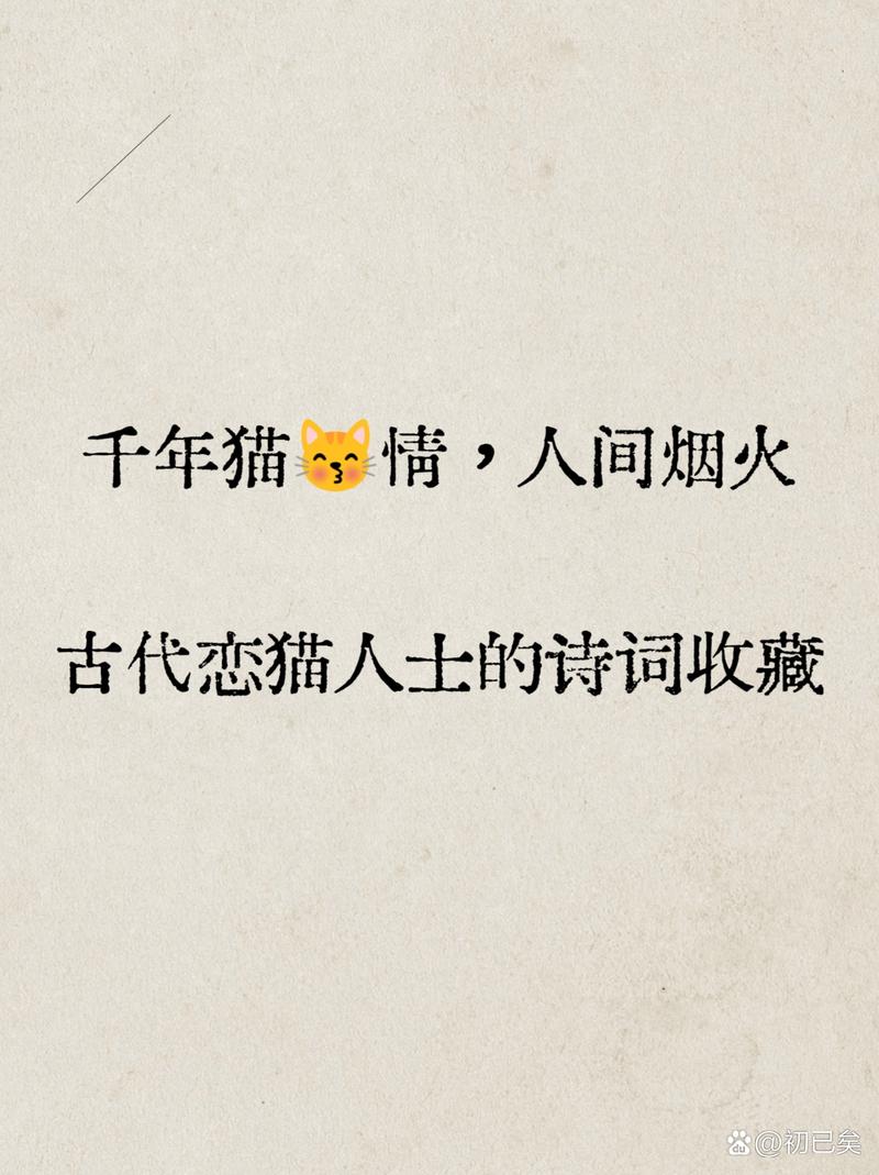 有关猫的诗歌,有关猫的诗歌有哪些-图3 有关猫的诗歌,有关猫的诗歌有哪些-图3