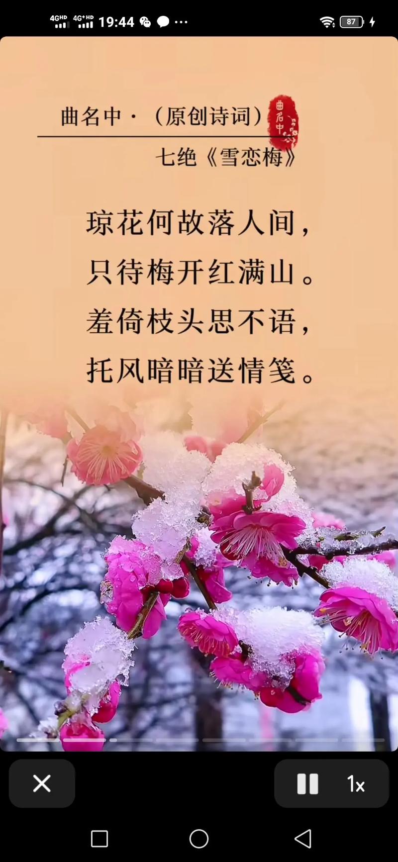 诗歌中梅象征，诗歌中梅象征什么-图3