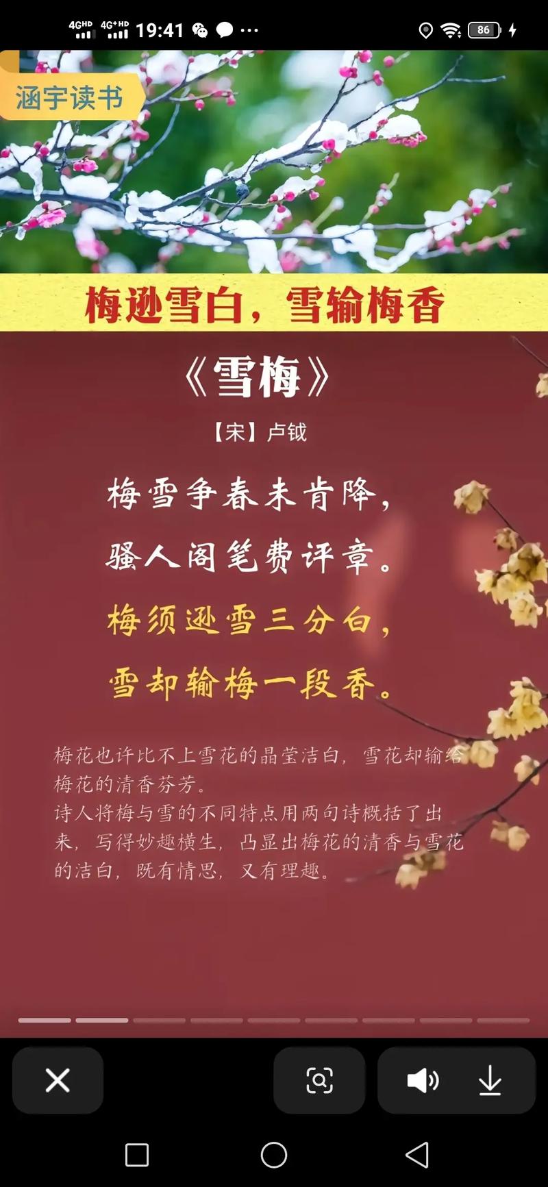 诗歌中梅象征，诗歌中梅象征什么-图2