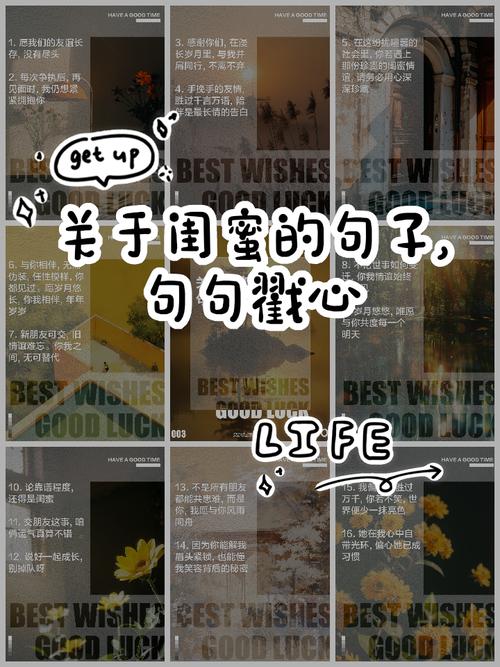 姐妹闺蜜名言，姐妹闺蜜名言名句大全-图3