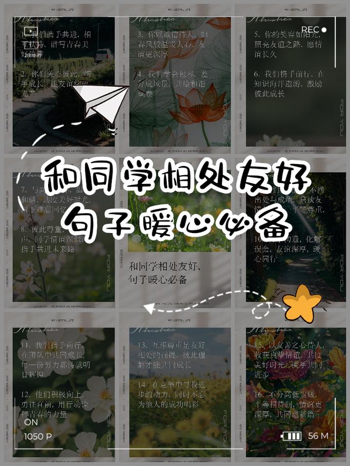 同伴名言,同伴的名言-图2 同伴名言,同伴的名言-图2