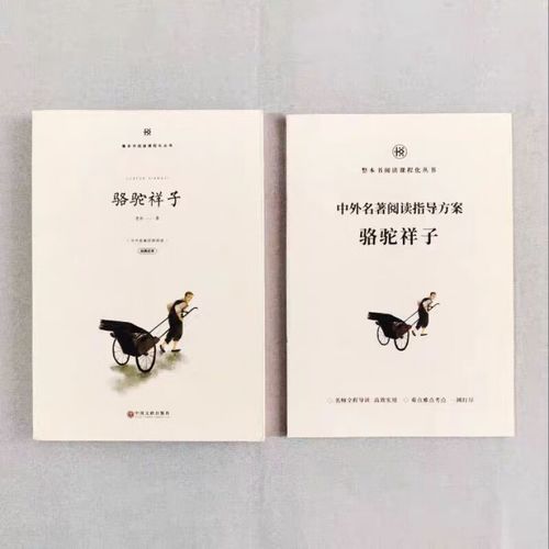 骆驼 诗歌，骆驼诗歌原文-图1
