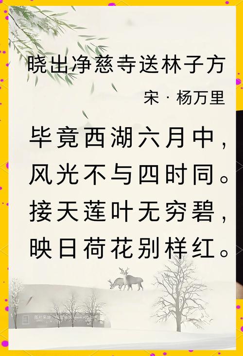 现代诗歌荷，现代诗歌荷花-图3