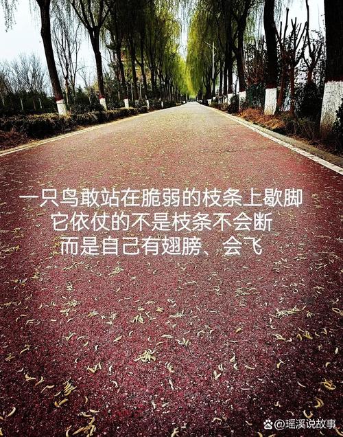 用脚步丈量世界名言,用脚步丈量世界上一句-图1 用脚步丈量世界名言,用脚步丈量世界上一句-图1