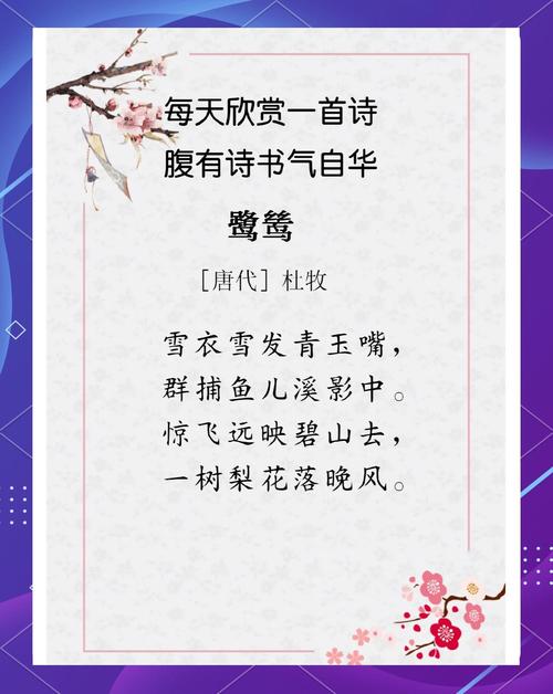 爱鸟的诗歌，关于爱鸟的诗歌-图3