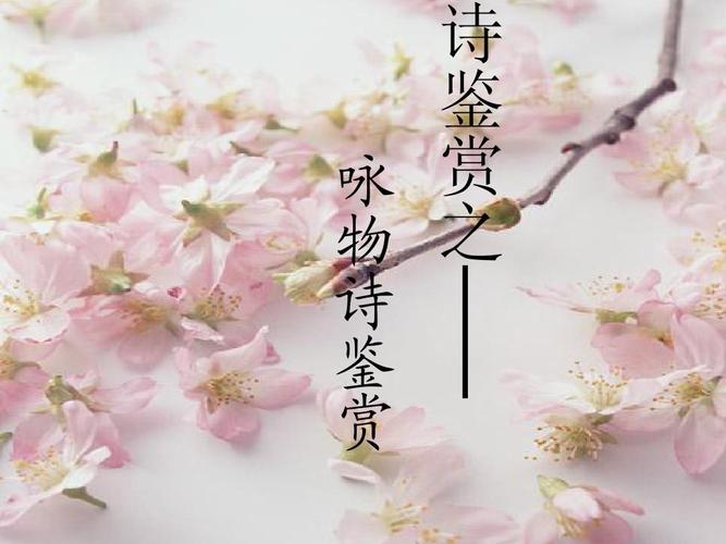 咏物诗歌鉴赏，咏物诗歌鉴赏课件-图3