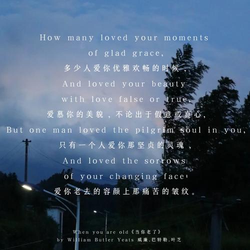 当你老了 英文诗歌，当你老了英文诗歌原文-图2