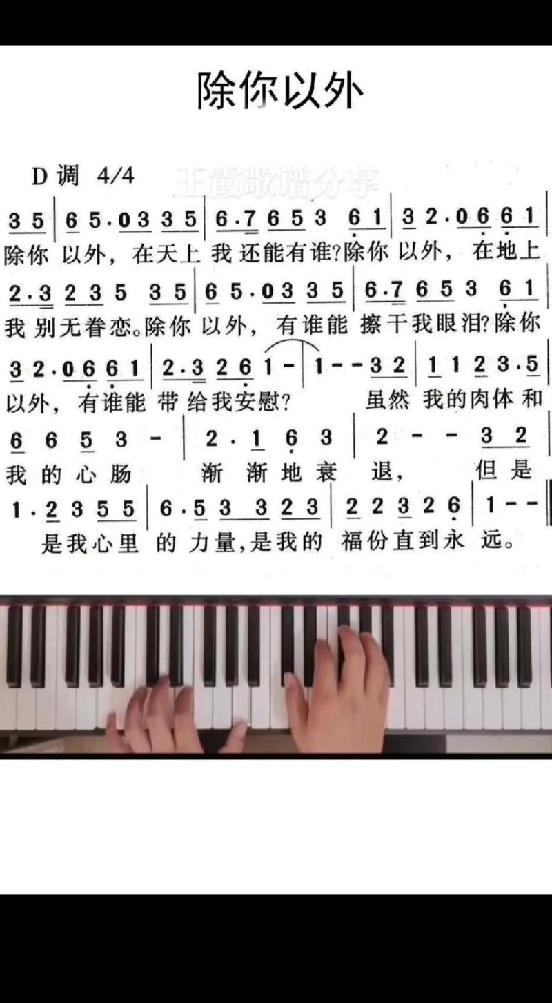 赞美诗歌除你以外-图2