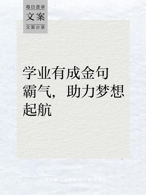 梦想相关的名言，梦想相关的名言警句-图3