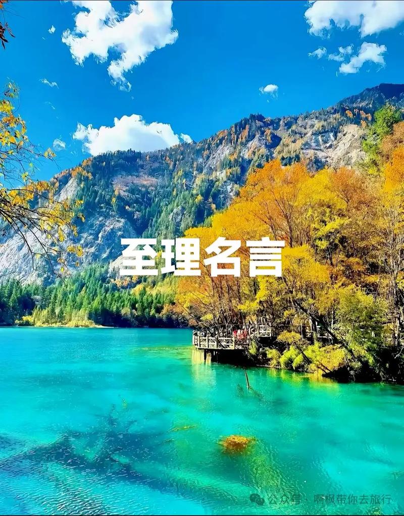 至理名言的至是什么意思，至理名言的至是什么意思啊-图1