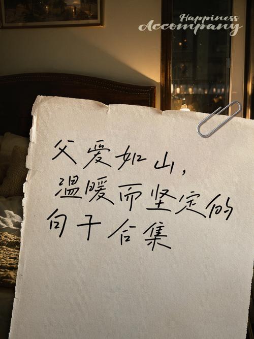 关于父爱的名言，关于父爱的名言警句-图3