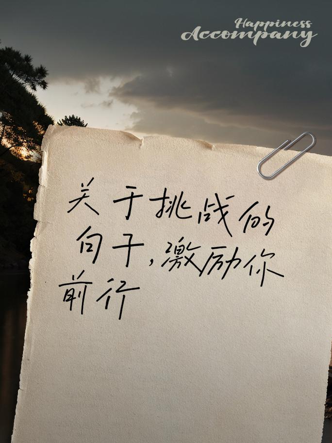 关于挑战的名言，关于挑战的名言警句-图3