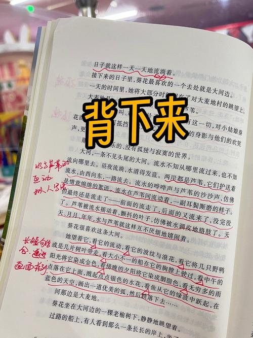 曹文轩名言,曹文轩名言名句摘抄-图1 曹文轩名言,曹文轩名言名句摘抄-图1