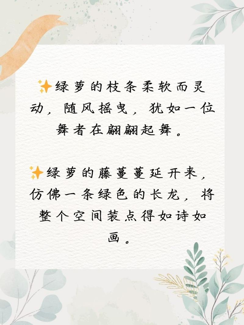 关于绿萝的诗歌，关于绿萝的诗歌自创-图2