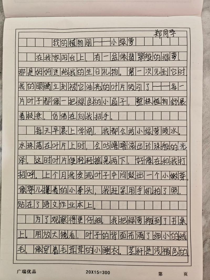 关于绿萝的诗歌，关于绿萝的诗歌自创-图3