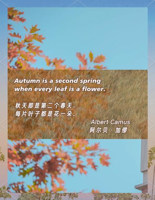 优美的英语诗歌,如何触动心灵?-图2 优美的英语诗歌,如何触动心灵?-图2