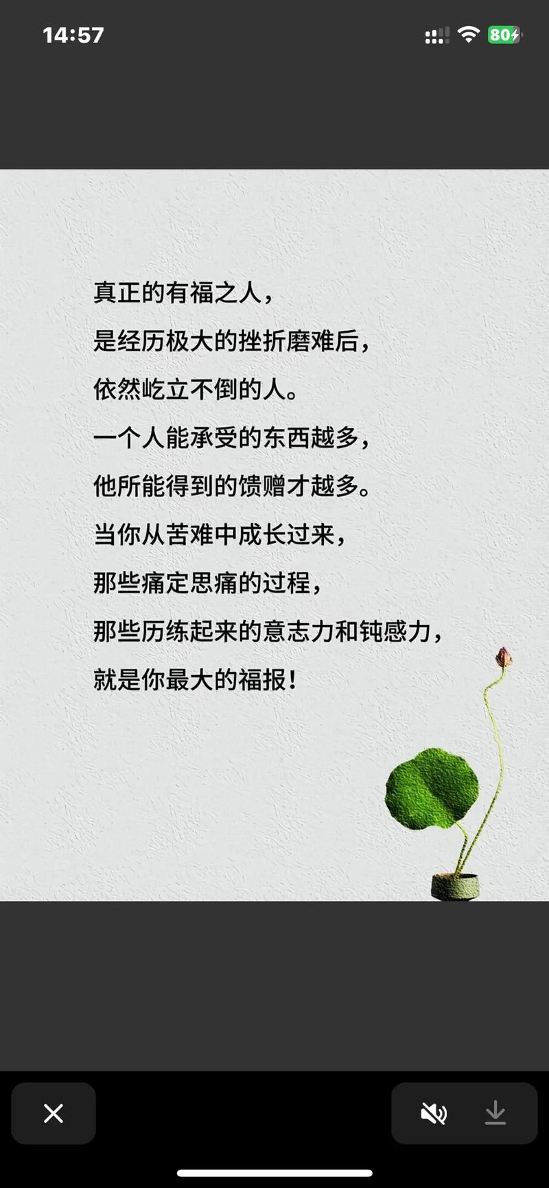 磨难名言，如何点亮人生前路？-图1