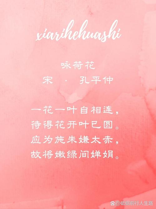 荷韵诗歌,荷韵经典古诗-图2 荷韵诗歌,荷韵经典古诗-图2