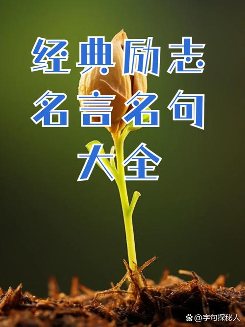 励志名言12字,励志名言12字以内-图3 励志名言12字,励志名言12字以内-图3