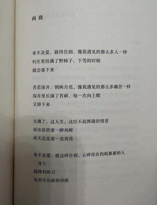 现代诗歌余秀华,现代诗 余秀华-图3 现代诗歌余秀华,现代诗 余秀华-图3