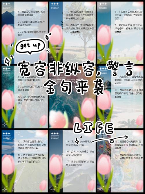 如何理解名言中的宽容智慧，历史事例又如何体现宽容的现实力量？-图1