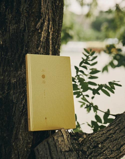 午后 诗歌，午后诗歌点评-图2