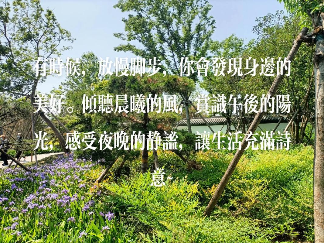 午后 诗歌，午后诗歌点评-图1