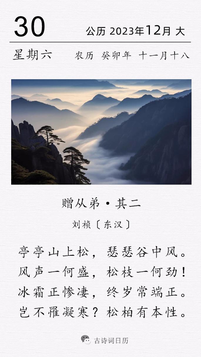 诗歌 雪松,雪松的诗歌-图2 诗歌 雪松,雪松的诗歌-图2