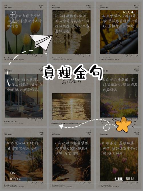 探索真理的名言，探索真理的名言警句-图1