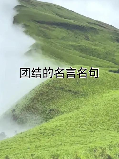 团结的的名言,团结的名言一根筷子-图1 团结的的名言,团结的名言一根筷子-图1