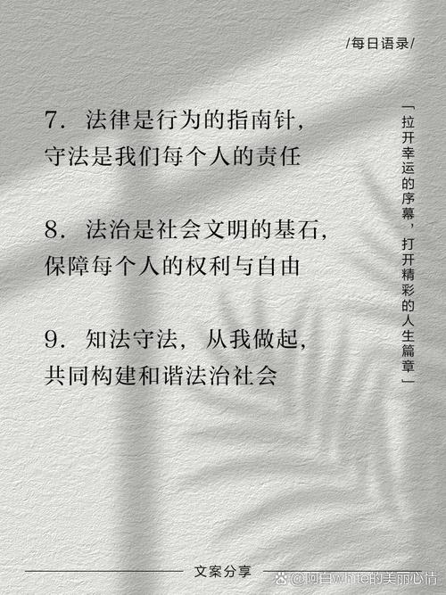 普法教育名人名言，普法教育名人名言大全-图3