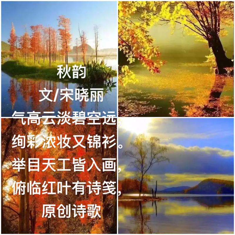 秋之韵的诗歌究竟藏着怎样的秋日私语，能让人在字里行间听见落叶的低语与丰收的叹息？-图3
